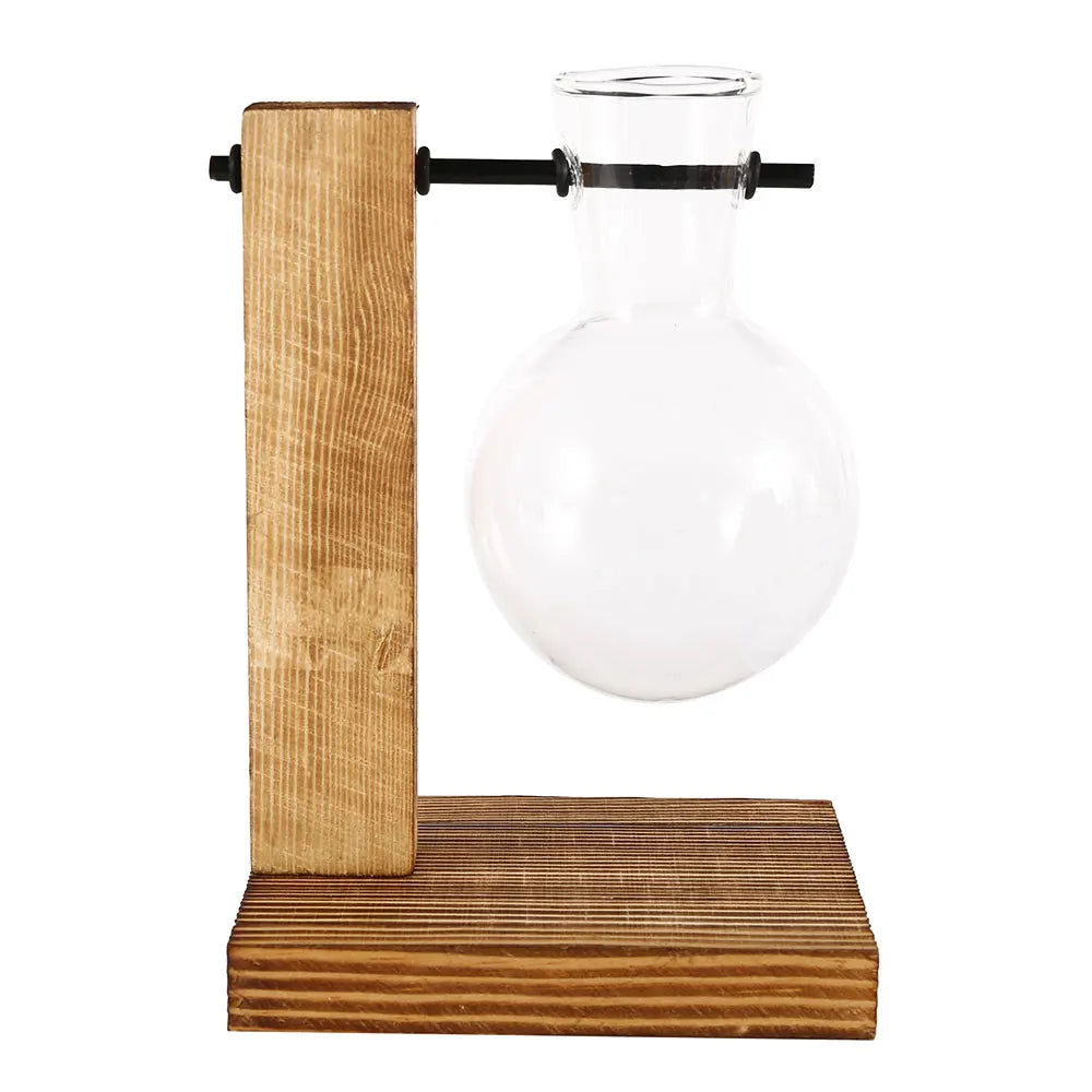 Glass Propagation Vase with Wooden Stand | Modern Hydroponic Plant Terrarium