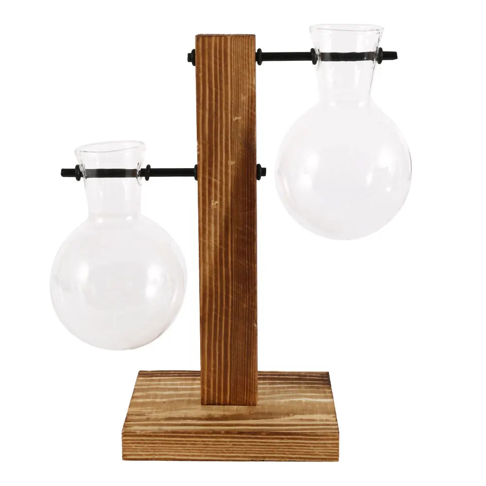Glass Propagation Vase with Wooden Stand | Modern Hydroponic Plant Terrarium