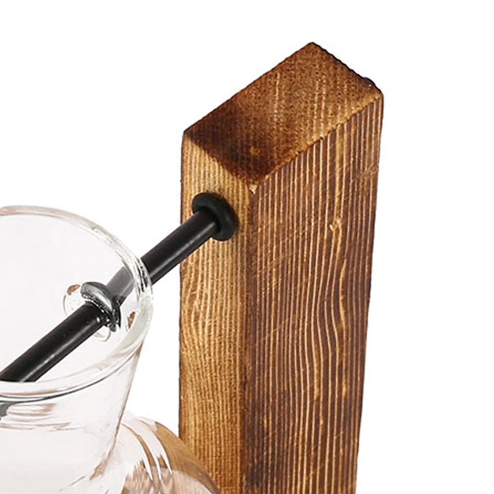 Glass Propagation Vase with Wooden Stand | Modern Hydroponic Plant Terrarium