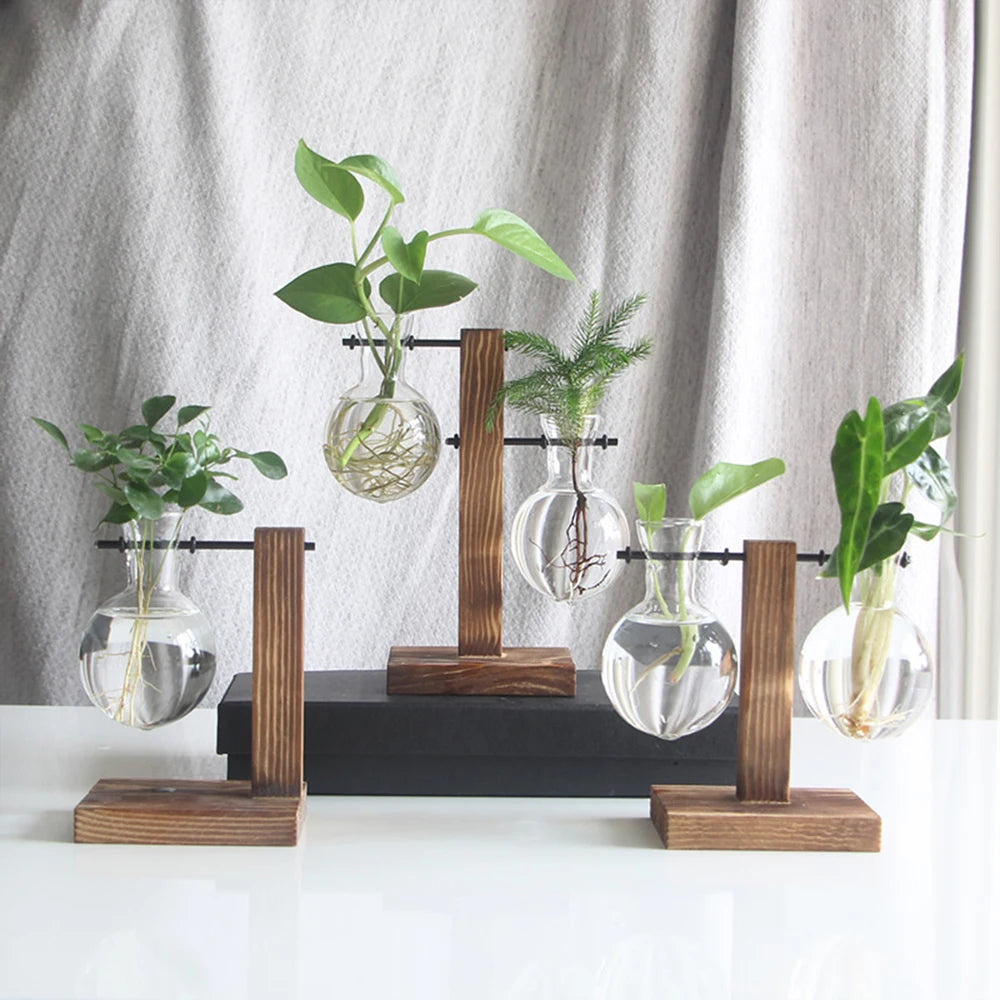 Glass Propagation Vase with Wooden Stand | Modern Hydroponic Plant Terrarium