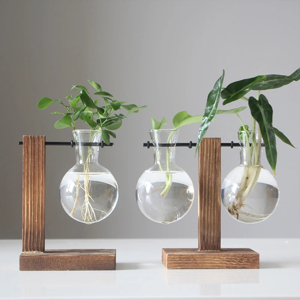 Glass Propagation Vase with Wooden Stand | Modern Hydroponic Plant Terrarium