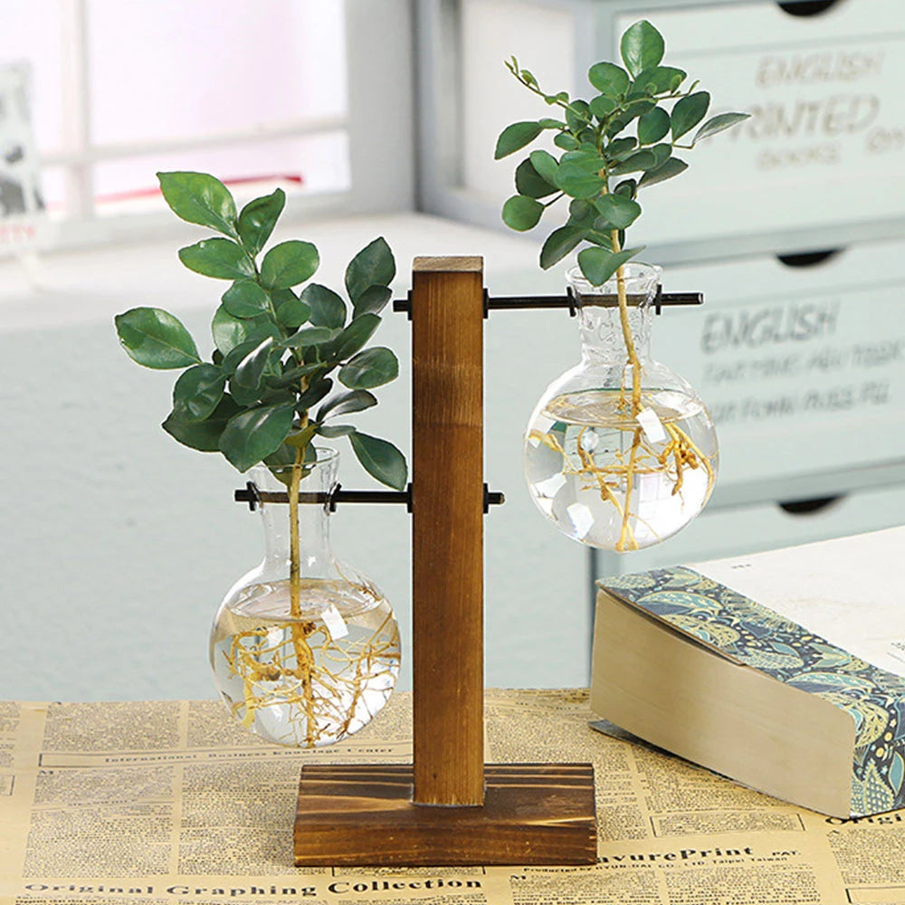 Glass Propagation Vase with Wooden Stand | Modern Hydroponic Plant Terrarium