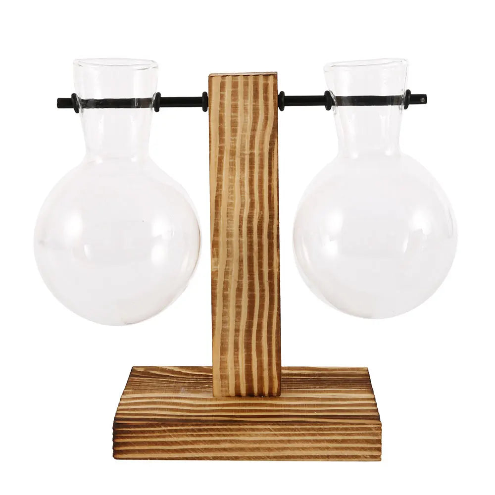 Glass Propagation Vase with Wooden Stand | Modern Hydroponic Plant Terrarium