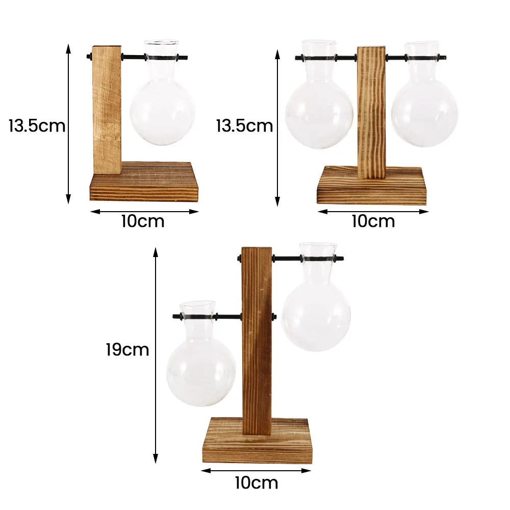 Glass Propagation Vase with Wooden Stand | Modern Hydroponic Plant Terrarium