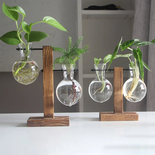 Glass Propagation Vase with Wooden Stand | Modern Hydroponic Plant Terrarium